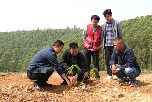 区领导到辖区内教育集团 乡镇 街道开展调研