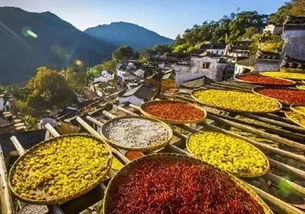 婺源,在最美的季节有着最美的风景 石城