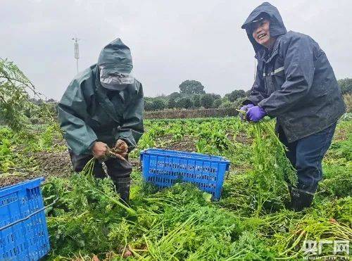 寒潮来了,我们 守护 你